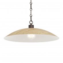 Minka-Lavery 132-860 - 1 LIGHT PENDANT
