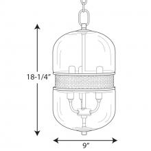 PROG_P500156dimensions_lineart.jpg