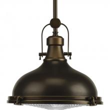 Progress P5188-108 - Fresnel Lens Collection One-Light Oil Rubbed Bronze Fresnel Glass Coastal Pendant Light