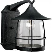 Progress P5764-71 - Prairie Collection One-Light Large Wall Lantern