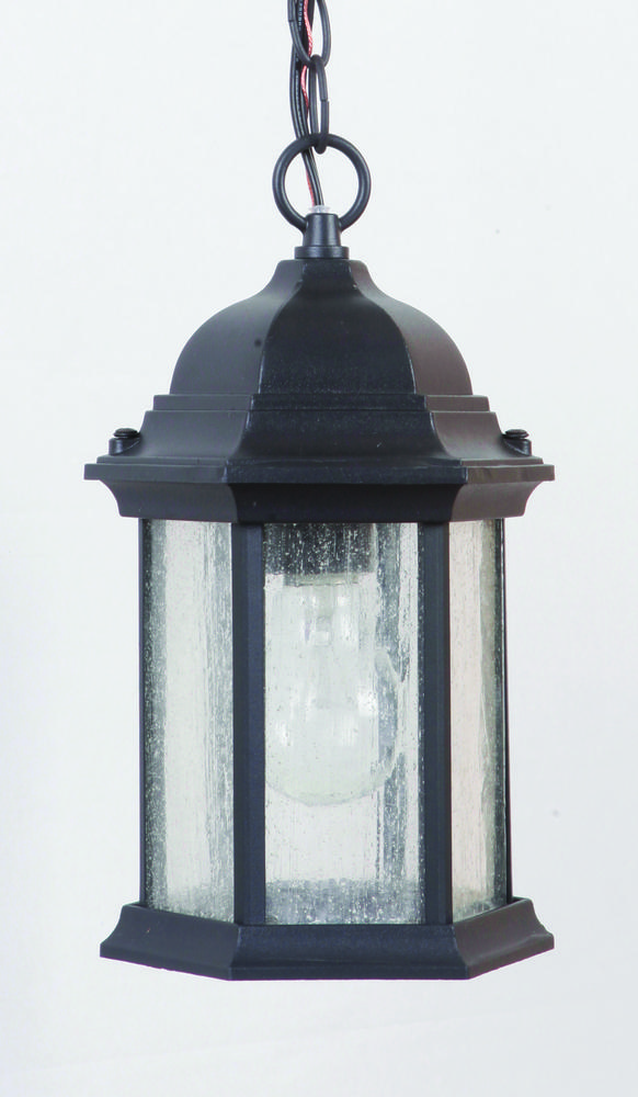 Hex Style Cast 1 Light Outdoor Pendant in Textured Black (Clear Seeded Glass)