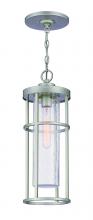 Craftmade ZA4211-SA - Encompass 1 Light Outdoor Pendant in Satin Aluminum