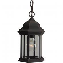 Craftmade Z291-RT - Cast Aluminum Medium Pendant