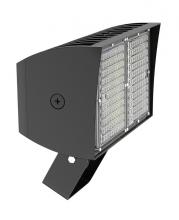 RAB Lighting PIPXL70TW/D10/PFS - PIP XL FLOODLIGHT 70W COOL