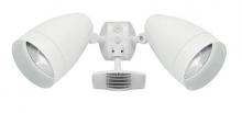 RAB Lighting STL1HBLED2X10W - STL110 SENSOR W/ 2 X HBLED10W