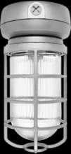 RAB Lighting VX2F42S - Vaporproof, 3200 lumens, CFL, ceiling mount, 42W, QT, 1/2 inch, Silver, with glass globe, Cast gua