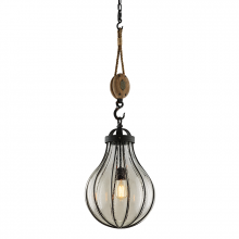 Troy F4905-FOR - Murphy Pendant