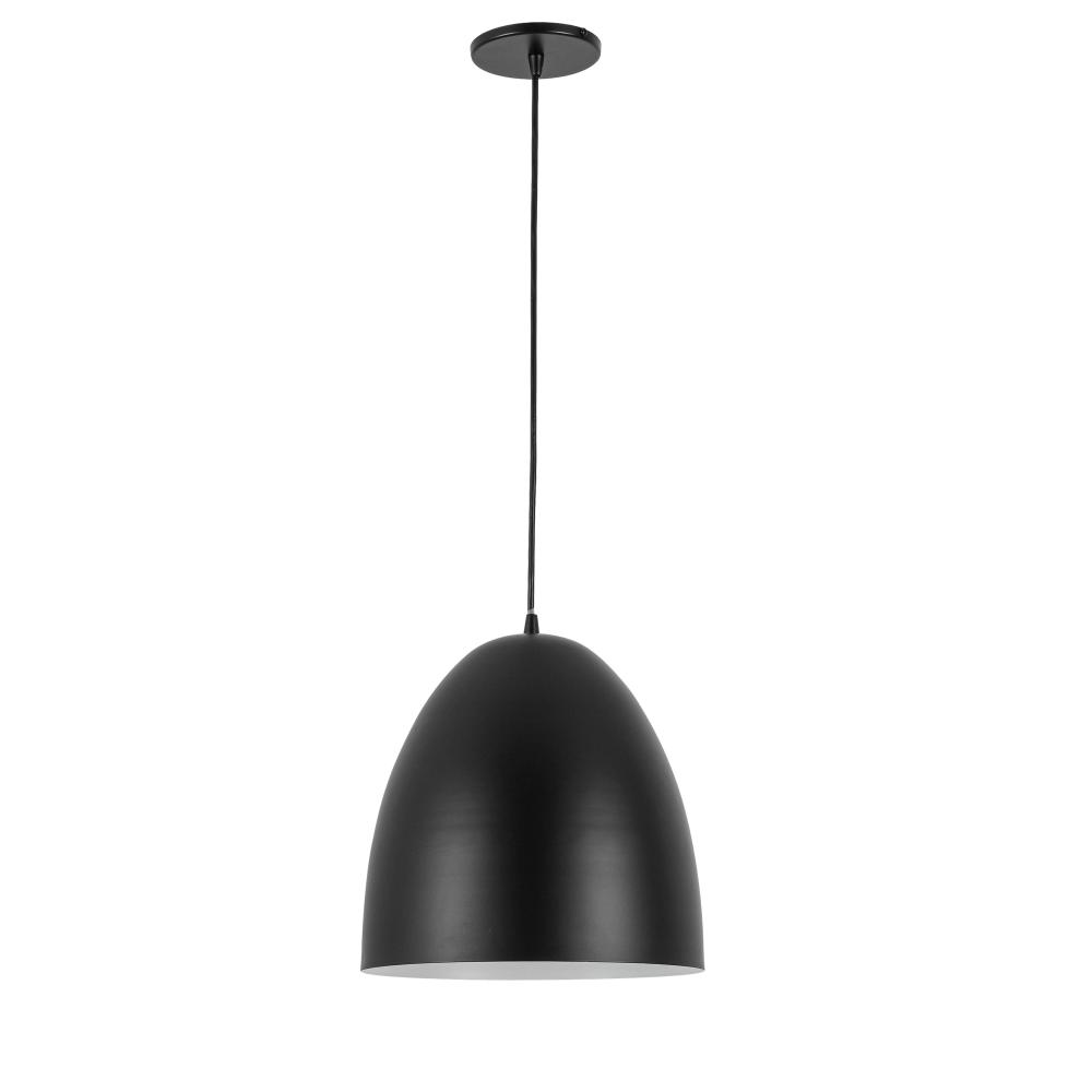 1 Light Pendant in Matte Black w/ in Matte Black Metal Shade
