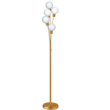 Dainolite 306F-AGB - 5LT Incandescent Floor Lamp, Aged Brass w/WH Glass