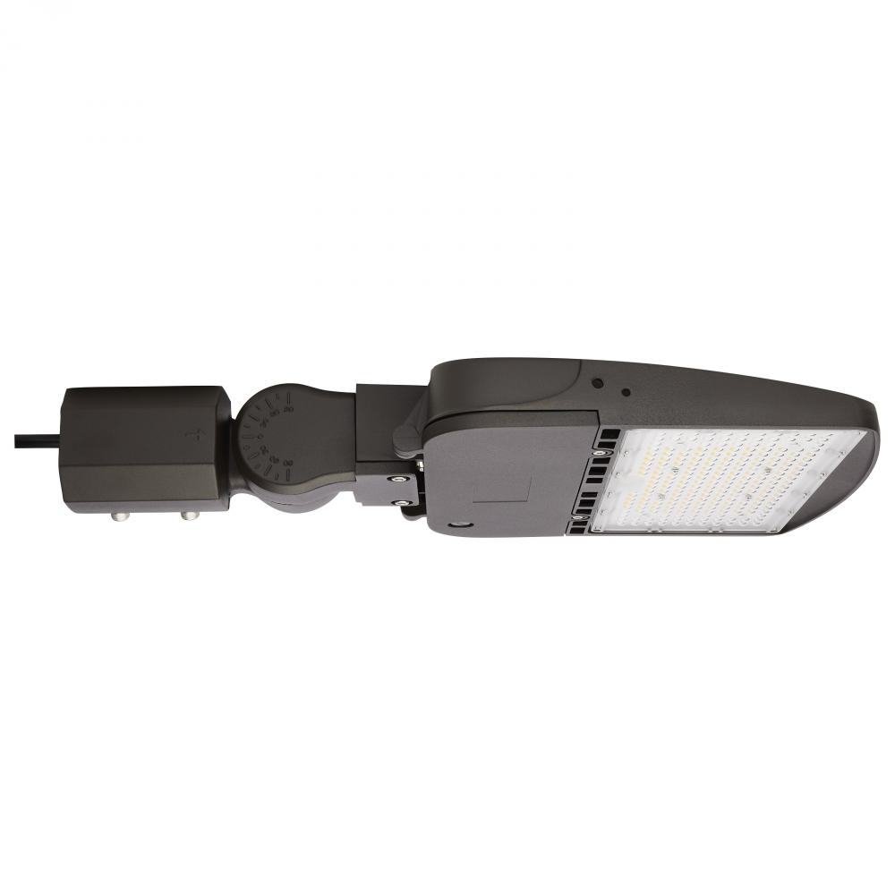 LED Area Light Type V; 100W; Bronze Finish; 5000K; 120-277V