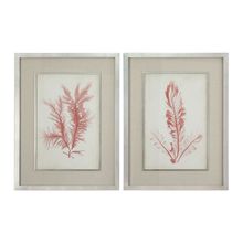 Uttermost 41578 - Uttermost Coral Sea Feathers Prints S/2