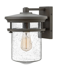  1624KZ - Hadley Bronze Outdoor Fixture w/ Seeded Glass 