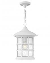 Hinkley 1862TW - Medium Hanging Lantern